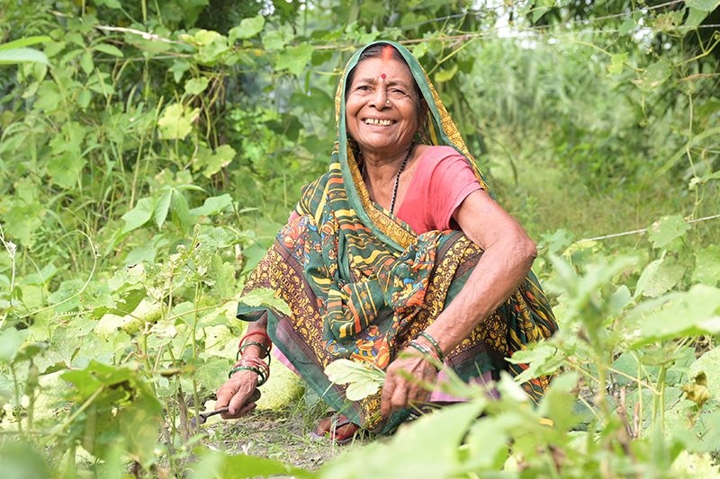 Sumitra working in the fileds