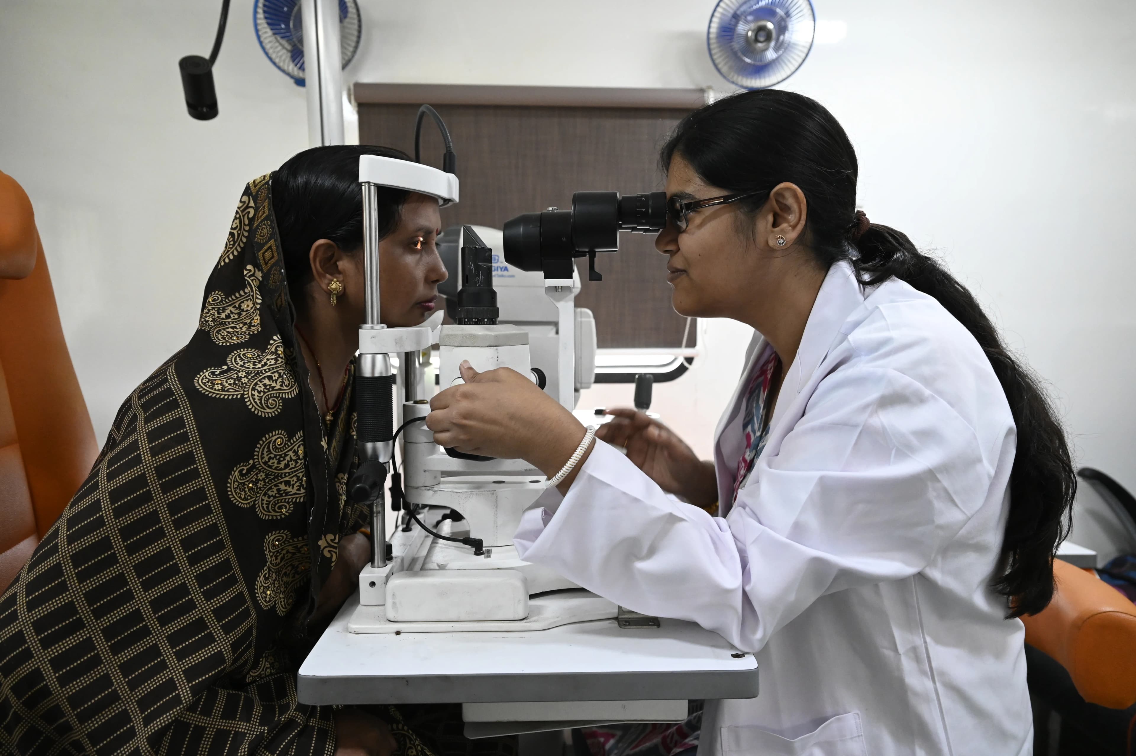 The Day The Grey Disappeared