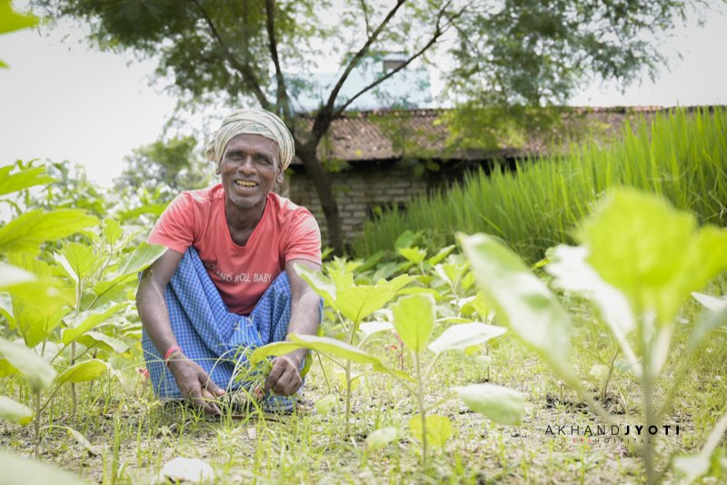 Before The Sun Set On His Fields, Light Returned Bhola Shaw working in the fields