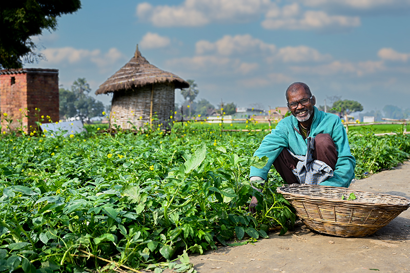 The Second Sunrise Raghunath Ram working in his field
