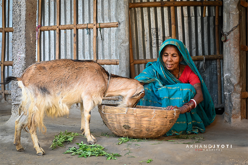 The Smile That Returned With Work Indra devi working back again